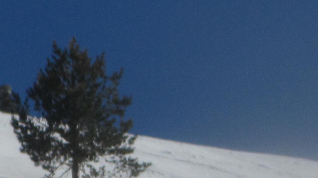 Kackar Pansiyon Yaylalar Kültér fotó